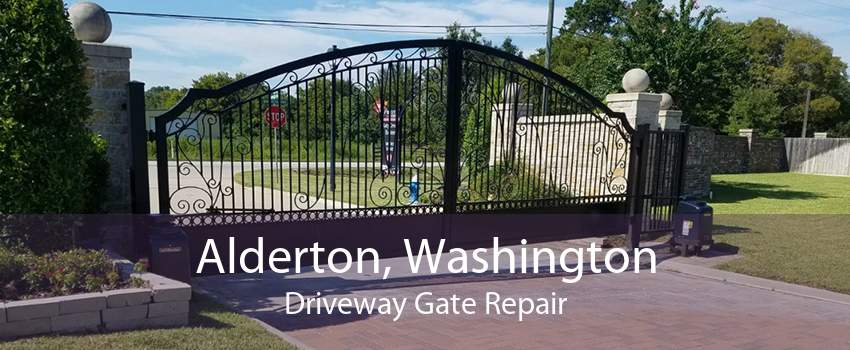 Alderton, Washington Driveway Gate Repair