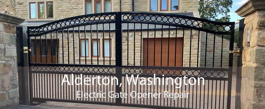 Alderton, Washington Electric Gate Opener Repair