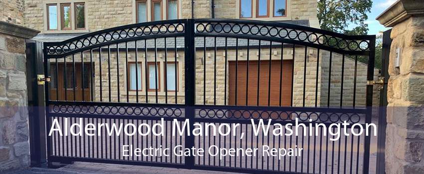 Alderwood Manor, Washington Electric Gate Opener Repair