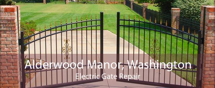 Alderwood Manor, Washington Electric Gate Repair