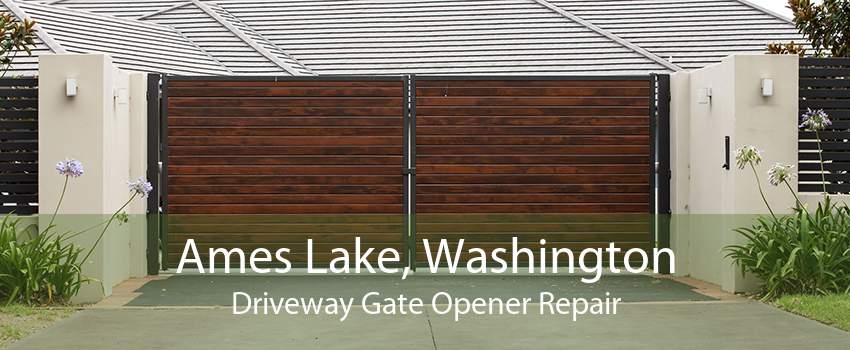Ames Lake, Washington Driveway Gate Opener Repair