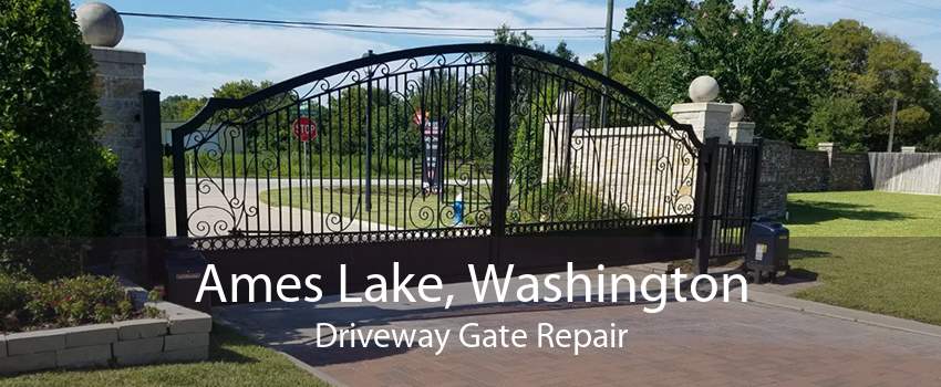 Ames Lake, Washington Driveway Gate Repair