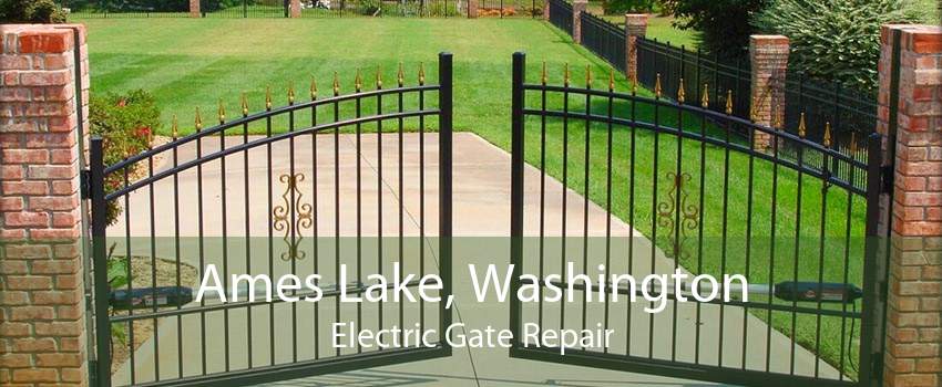 Ames Lake, Washington Electric Gate Repair