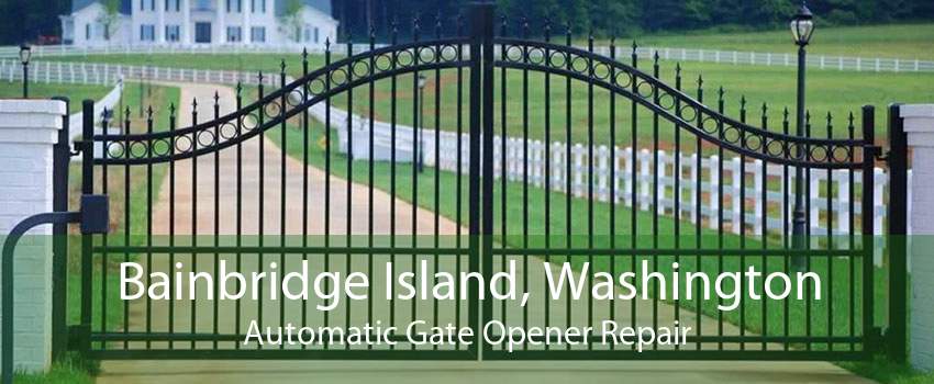 Bainbridge Island, Washington Automatic Gate Opener Repair