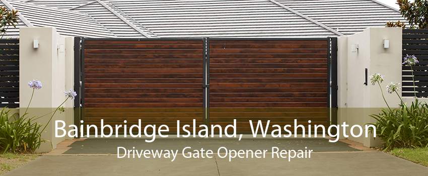 Bainbridge Island, Washington Driveway Gate Opener Repair