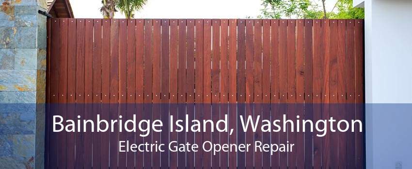 Bainbridge Island, Washington Electric Gate Opener Repair