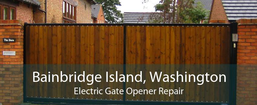 Bainbridge Island, Washington Electric Gate Opener Repair