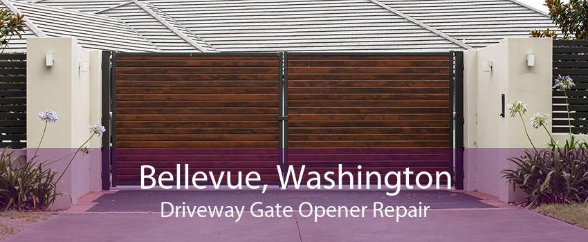 Bellevue, Washington Driveway Gate Opener Repair