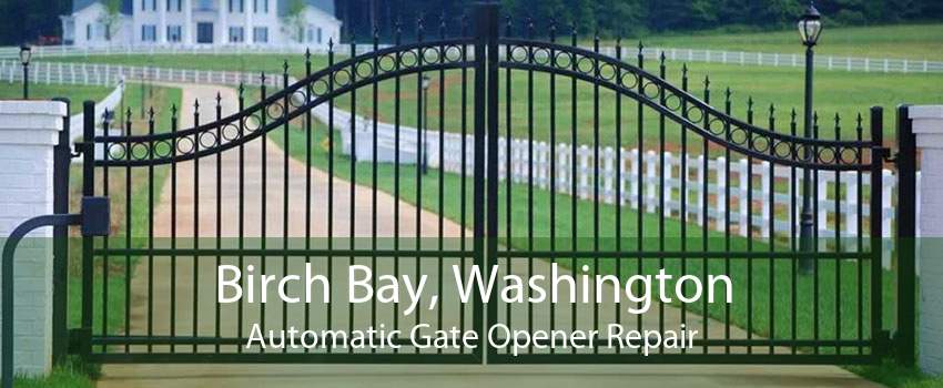 Birch Bay, Washington Automatic Gate Opener Repair