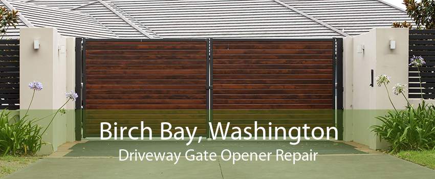 Birch Bay, Washington Driveway Gate Opener Repair
