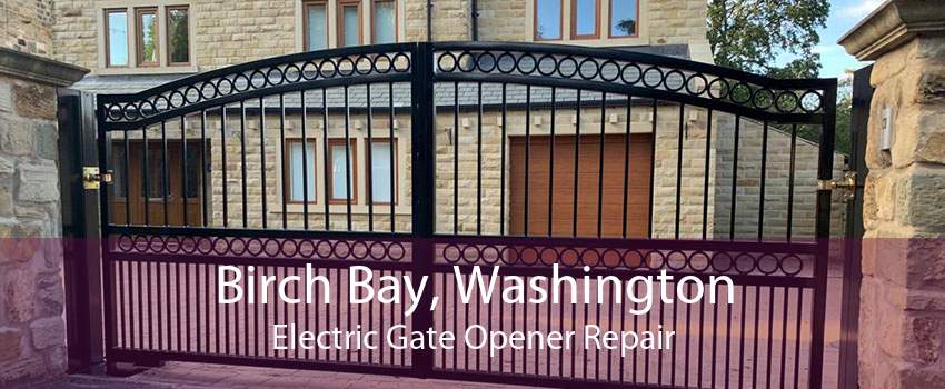 Birch Bay, Washington Electric Gate Opener Repair