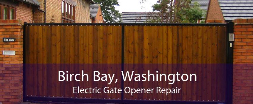 Birch Bay, Washington Electric Gate Opener Repair