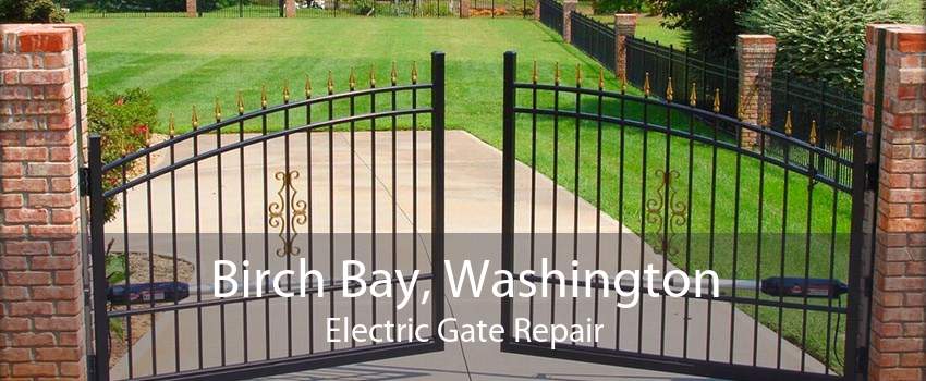 Birch Bay, Washington Electric Gate Repair
