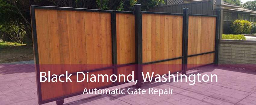 Black Diamond, Washington Automatic Gate Repair