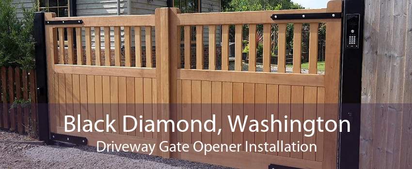 Black Diamond, Washington Driveway Gate Opener Installation