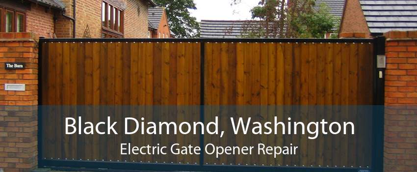 Black Diamond, Washington Electric Gate Opener Repair