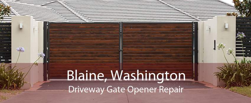 Blaine, Washington Driveway Gate Opener Repair
