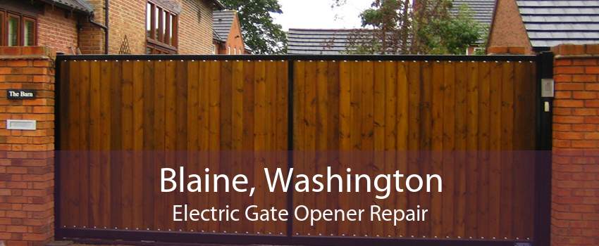 Blaine, Washington Electric Gate Opener Repair
