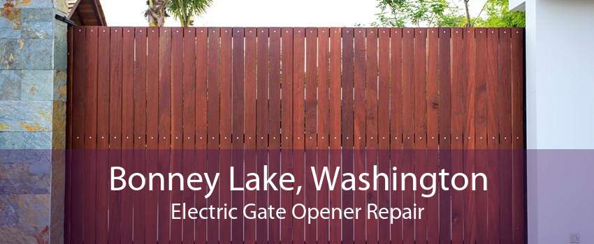 Bonney Lake, Washington Electric Gate Opener Repair