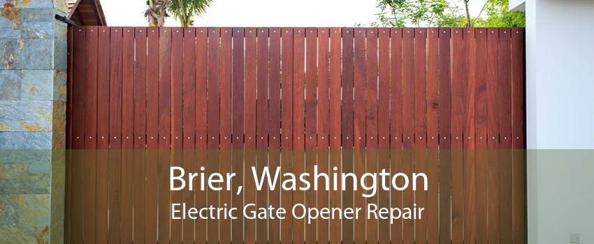 Brier, Washington Electric Gate Opener Repair