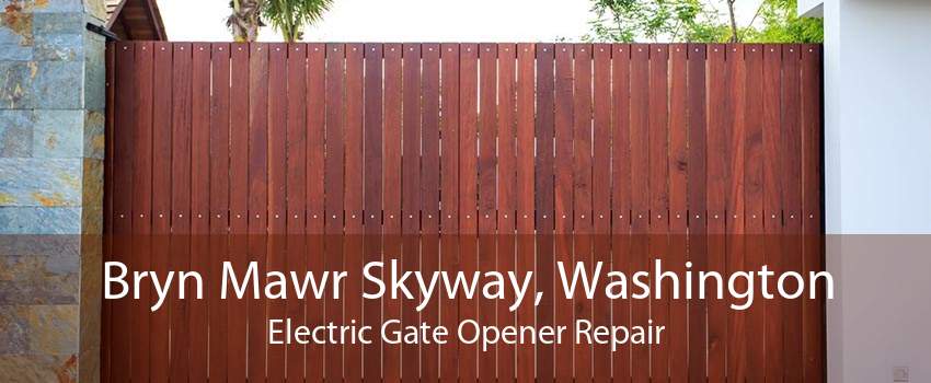 Bryn Mawr Skyway, Washington Electric Gate Opener Repair