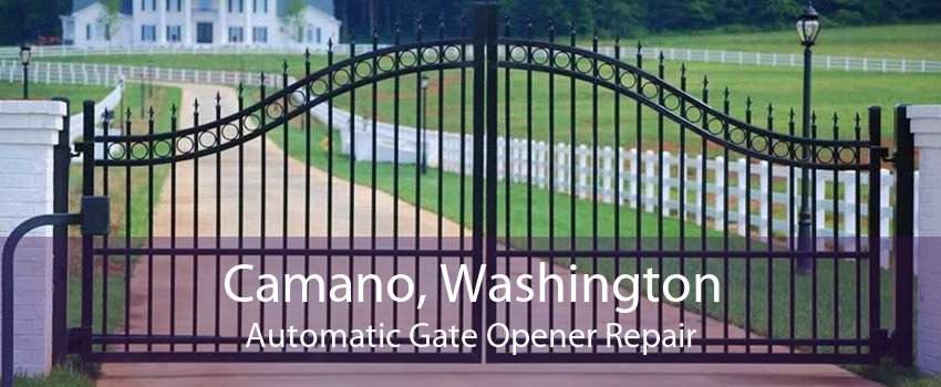 Camano, Washington Automatic Gate Opener Repair