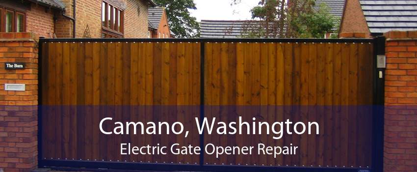 Camano, Washington Electric Gate Opener Repair