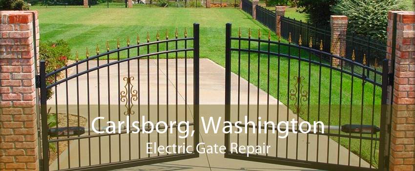 Carlsborg, Washington Electric Gate Repair