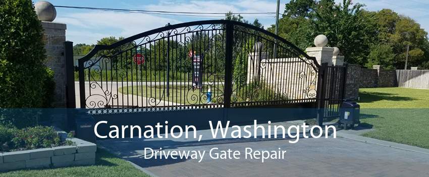 Carnation, Washington Driveway Gate Repair