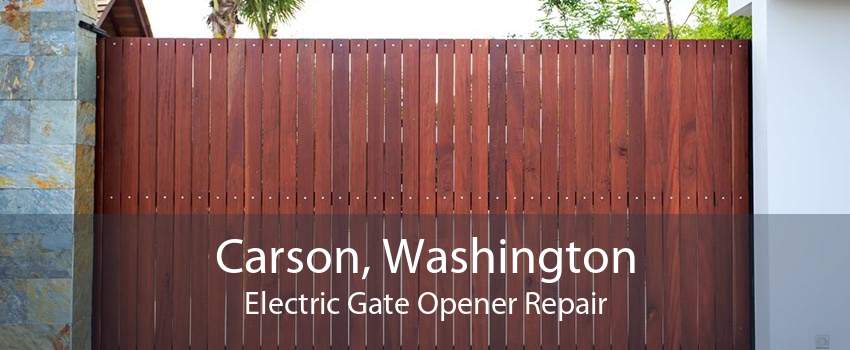 Carson, Washington Electric Gate Opener Repair