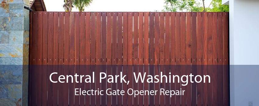 Central Park, Washington Electric Gate Opener Repair