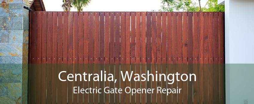 Centralia, Washington Electric Gate Opener Repair