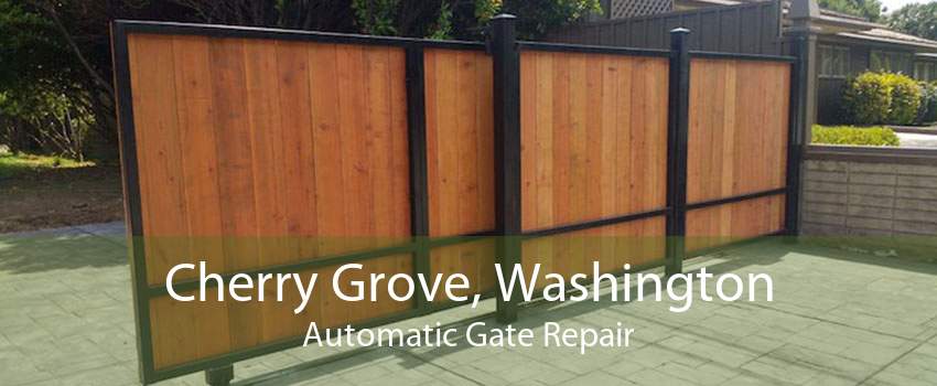Cherry Grove, Washington Automatic Gate Repair