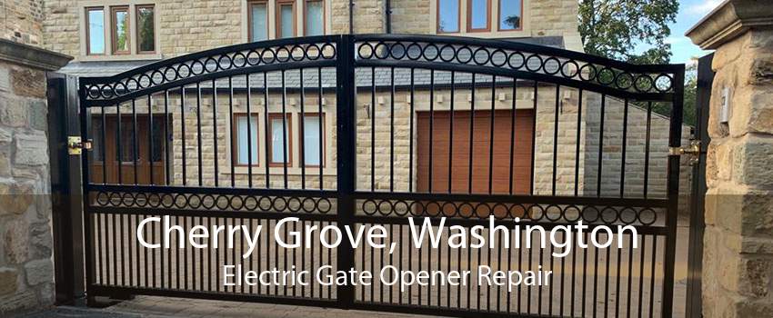 Cherry Grove, Washington Electric Gate Opener Repair