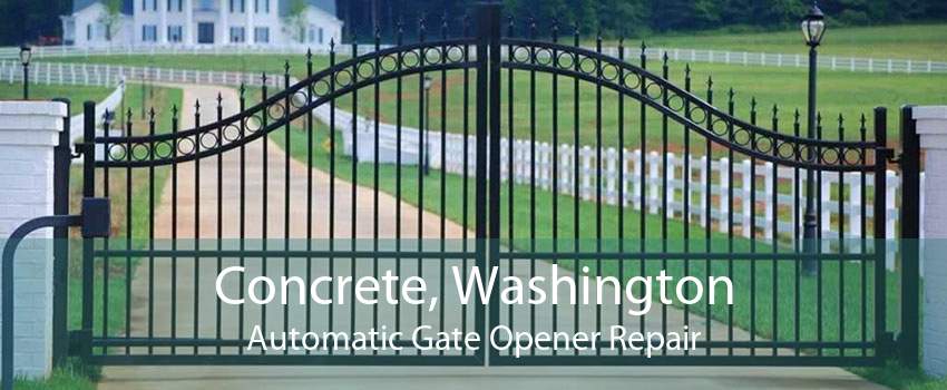 Concrete, Washington Automatic Gate Opener Repair