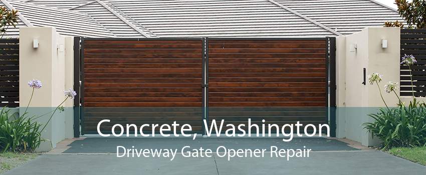 Concrete, Washington Driveway Gate Opener Repair