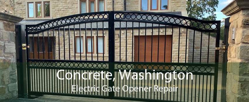 Concrete, Washington Electric Gate Opener Repair
