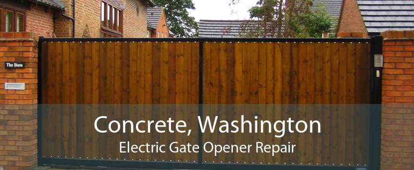 Concrete, Washington Electric Gate Opener Repair