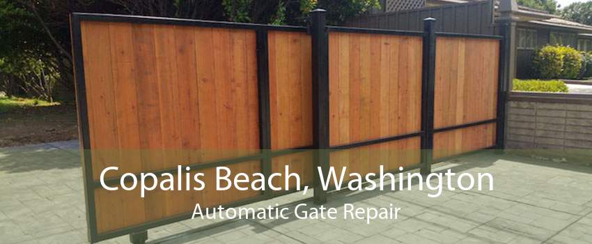 Copalis Beach, Washington Automatic Gate Repair