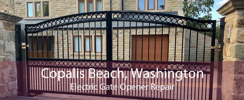Copalis Beach, Washington Electric Gate Opener Repair