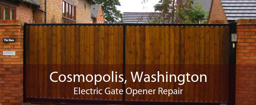 Cosmopolis, Washington Electric Gate Opener Repair