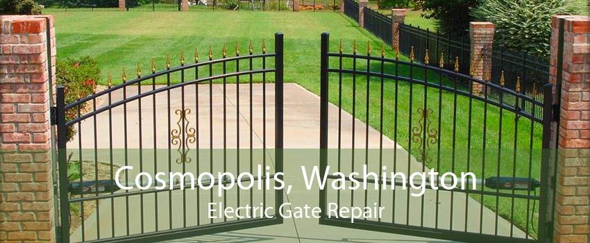 Cosmopolis, Washington Electric Gate Repair