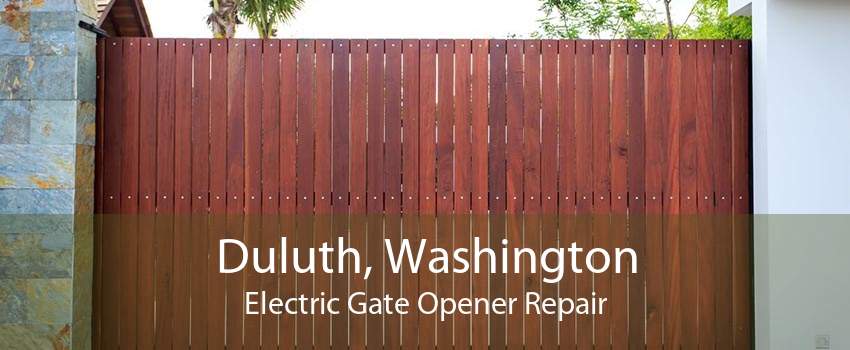 Duluth, Washington Electric Gate Opener Repair