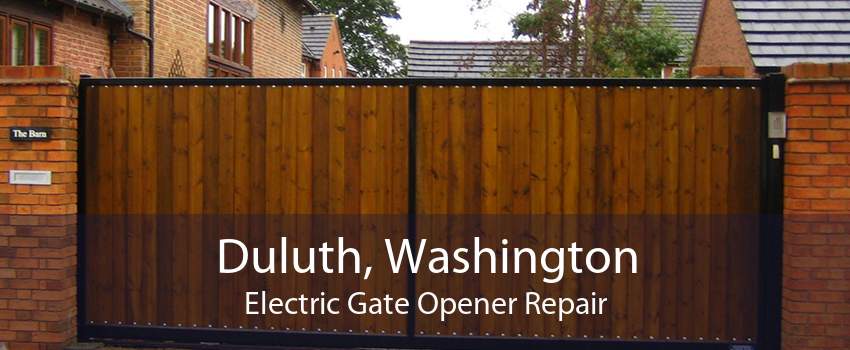 Duluth, Washington Electric Gate Opener Repair