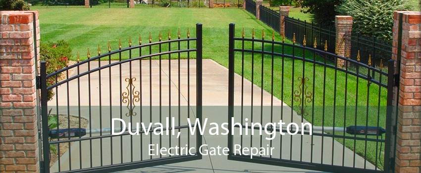 Duvall, Washington Electric Gate Repair