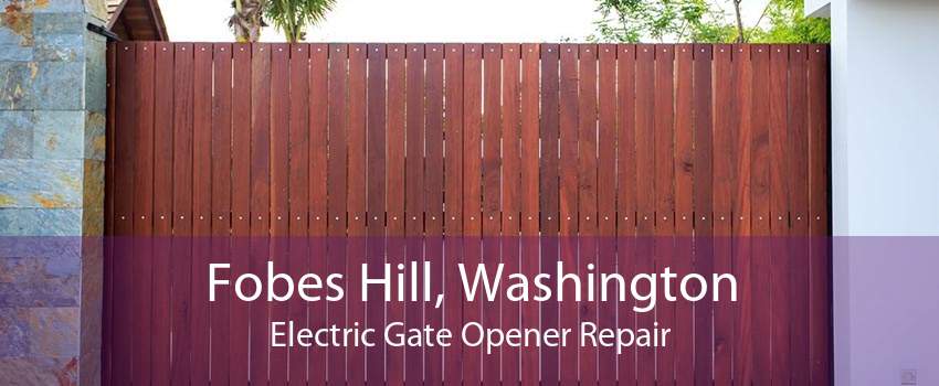 Fobes Hill, Washington Electric Gate Opener Repair