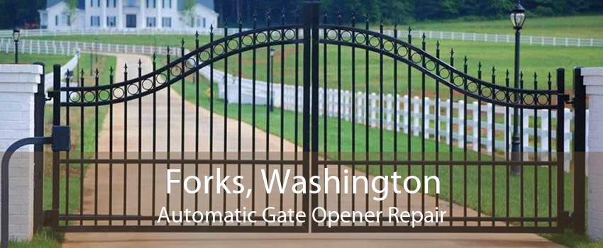 Forks, Washington Automatic Gate Opener Repair