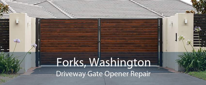 Forks, Washington Driveway Gate Opener Repair
