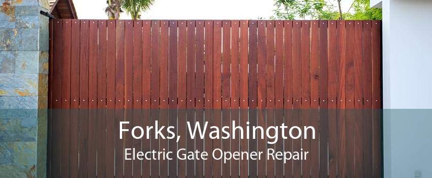 Forks, Washington Electric Gate Opener Repair