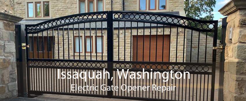 Issaquah, Washington Electric Gate Opener Repair